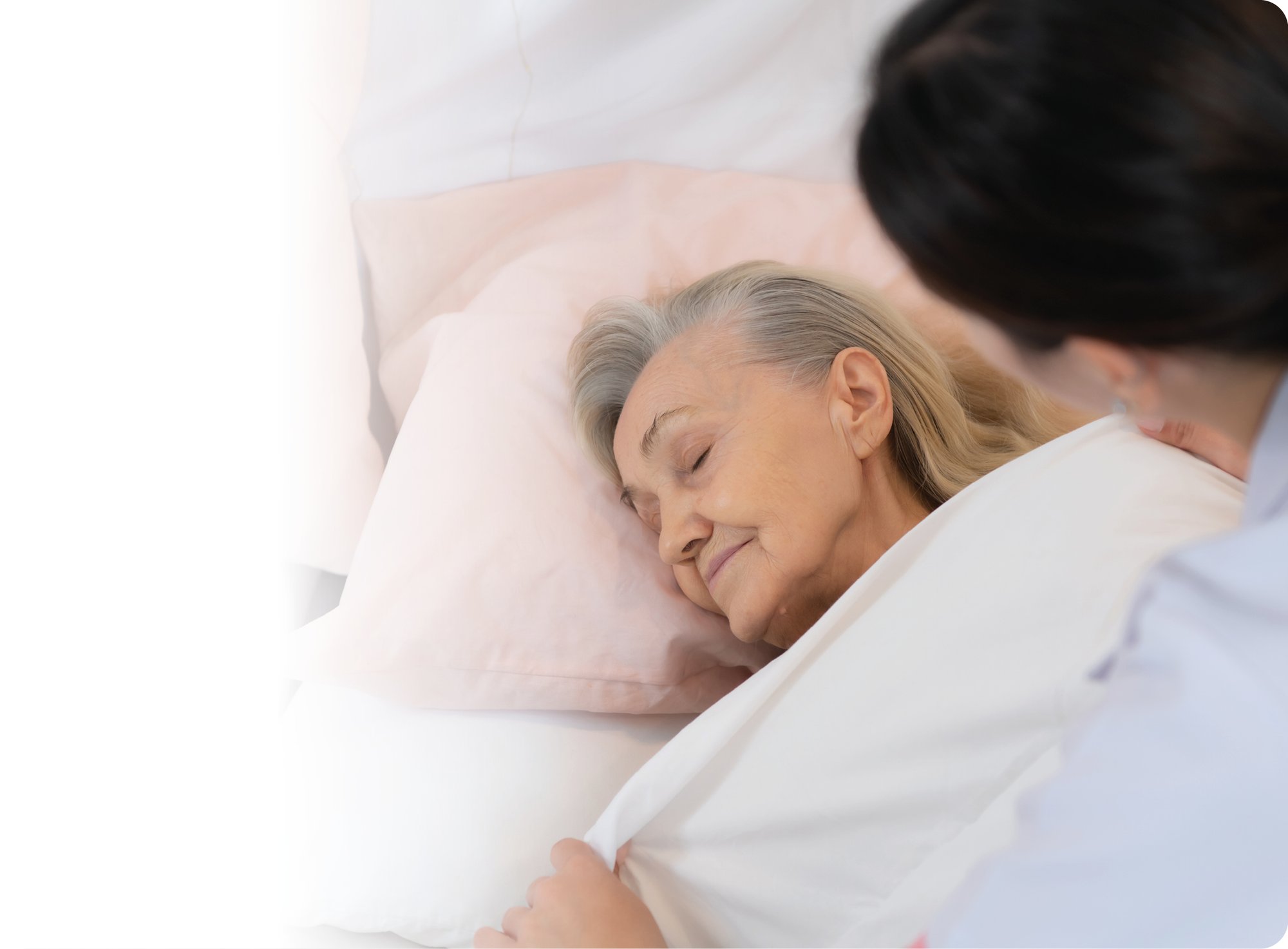 GP0024_A05 - Toto Cradle_(Talking Head)